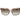 Marciano by Guess Orange Acetate Sunglasses