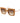 Max Mara Brown Plastic Sunglasses