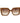 Max Mara Brown Plastic Sunglasses