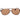 Web Brown Acetate Sunglasses
