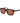 Web Brown Acetate Sunglasses