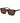 Web Black Acetate Sunglasses