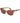 Max Mara Brown Acetate Sunglasses