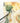 Dolce & Gabbana Yellow Floral Print Silk Pleated Maxi Dress