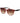 Ted Baker Brown Acetate Sunglasses