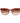 Ted Baker Brown Acetate Sunglasses