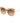 Ana Hickmann Brown Acetate Sunglasses