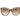 Ana Hickmann Brown Acetate Sunglasses