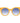 Ana Hickmann Bicolor Plastic Sunglasses