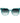 Ana Hickmann Blue Acetate Sunglasses