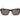 Ted Baker Brown Acetate Sunglasses