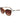 Longchamp Multicolor Acetate Sunglasses