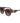 Longchamp Brown Acetate Sunglasses