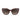 Longchamp Brown Acetate Sunglasses