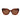 Longchamp Brown Acetate Sunglasses