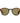 Polaroid Brown Plastic Sunglasses