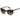 Polaroid Brown Resin Sunglasses