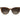 Polaroid Brown Resin Sunglasses
