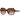 Armani Exchange Brown Acetate Sunglasses