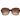 Armani Exchange Brown Acetate Sunglasses