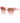 Armani Exchange Multicolor Injected Sunglasses