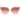 Armani Exchange Multicolor Injected Sunglasses