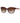 Armani Exchange Multicolor Injected Sunglasses