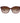 Armani Exchange Multicolor Injected Sunglasses