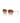 Armani Exchange Brown Injected Sunglasses
