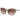 Armani Exchange Brown Injected Sunglasses