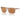 Armani Exchange Brown Injected Sunglasses