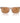 Armani Exchange Brown Injected Sunglasses