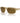 Armani Exchange Beige Injected Sunglasses