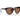 Armani Exchange Brown Injected Sunglasses