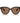Armani Exchange Brown Injected Sunglasses