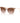 Armani Exchange Beige Injected Sunglasses