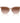 Armani Exchange Beige Injected Sunglasses