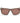 Armani Exchange Brown Injected Sunglasses