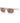 Armani Exchange Gray Injected Sunglasses