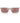 Armani Exchange Gray Injected Sunglasses