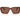 Emporio Armani Multicolor Acetate Sunglasses