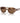 Emporio Armani Brown Acetate Sunglasses