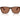 Emporio Armani Brown Acetate Sunglasses