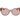 Ferragamo Transparent Acetate Sunglasses