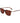 Lacoste Brown Acetate Sunglasses