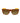 Lacoste Brown Injected Sunglasses
