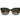 Polaroid Bicolor Polycarbonate Sunglasses