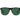 Polaroid Brown Polycarbonate Sunglasses