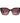 Polaroid Brown Polycarbonate Sunglasses