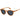 Polaroid Brown Polycarbonate Sunglasses